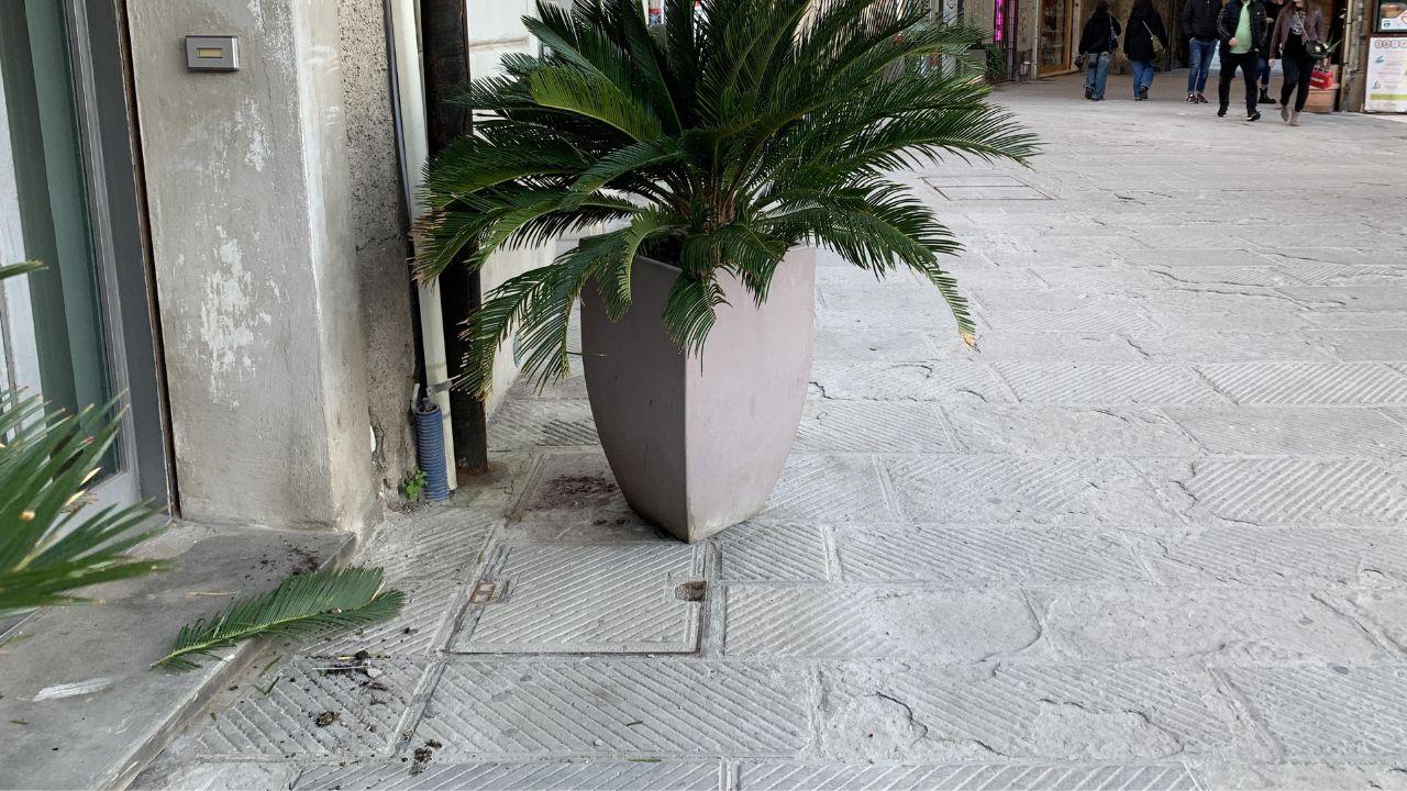 L'angolo di piazza del Sale dove è avvenuta l'aggressione