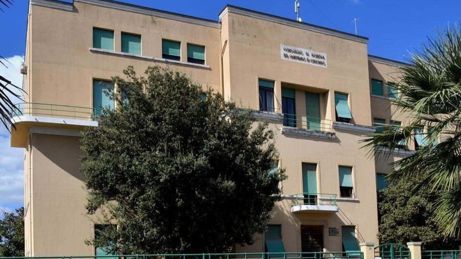 Consorzio di bonifica, consigliera rischia la decadenza per un taglio di eucaliptus