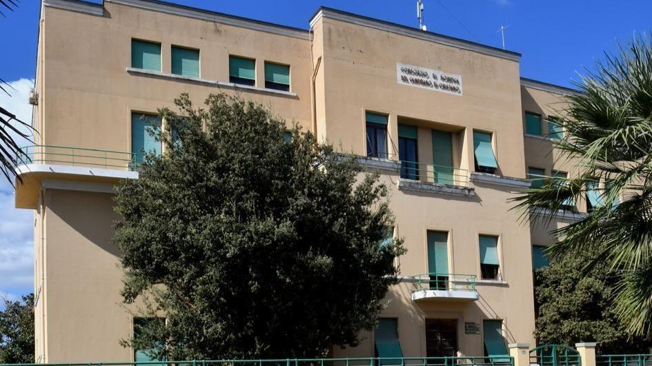 Consorzio di bonifica, consigliera rischia la decadenza per un taglio di eucaliptus