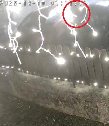 
	Un tentativo di furto in un&rsquo;auto ripreso da una telecamera privata

