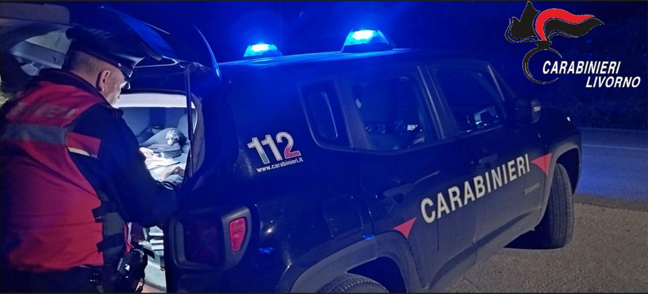 
	Un carabiniere al lavoro (foto d'archivio)

