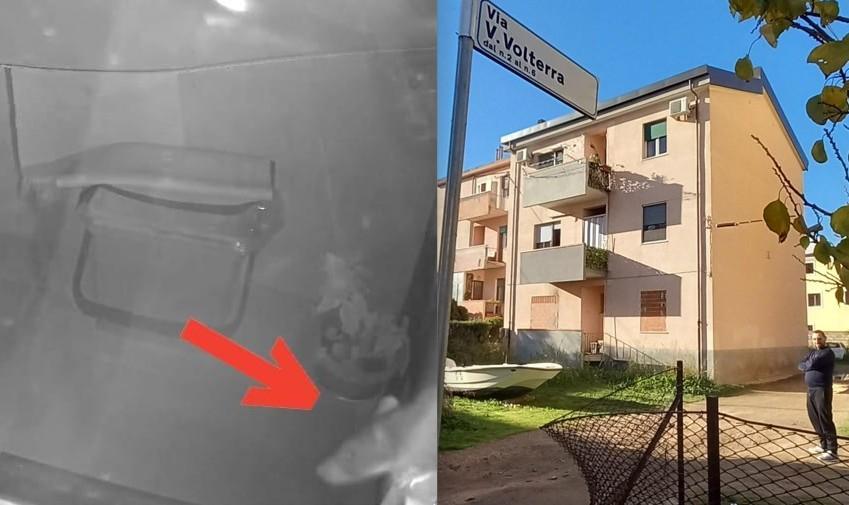 
	Un topo ripreso in una veranda e le case popolari di via Volterra

