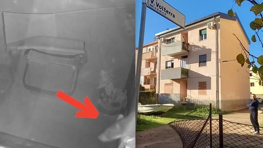 Un topo ripreso in una veranda e le case popolari di via Volterra
