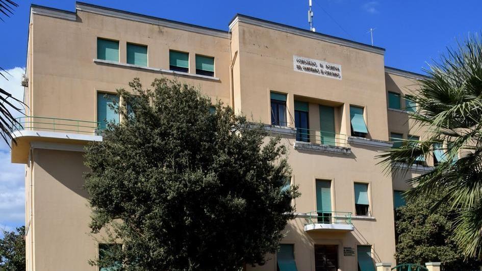 Consorzio di bonifica dell’Oristanese, Cda alla resa dei conti sul caso eucaliptus