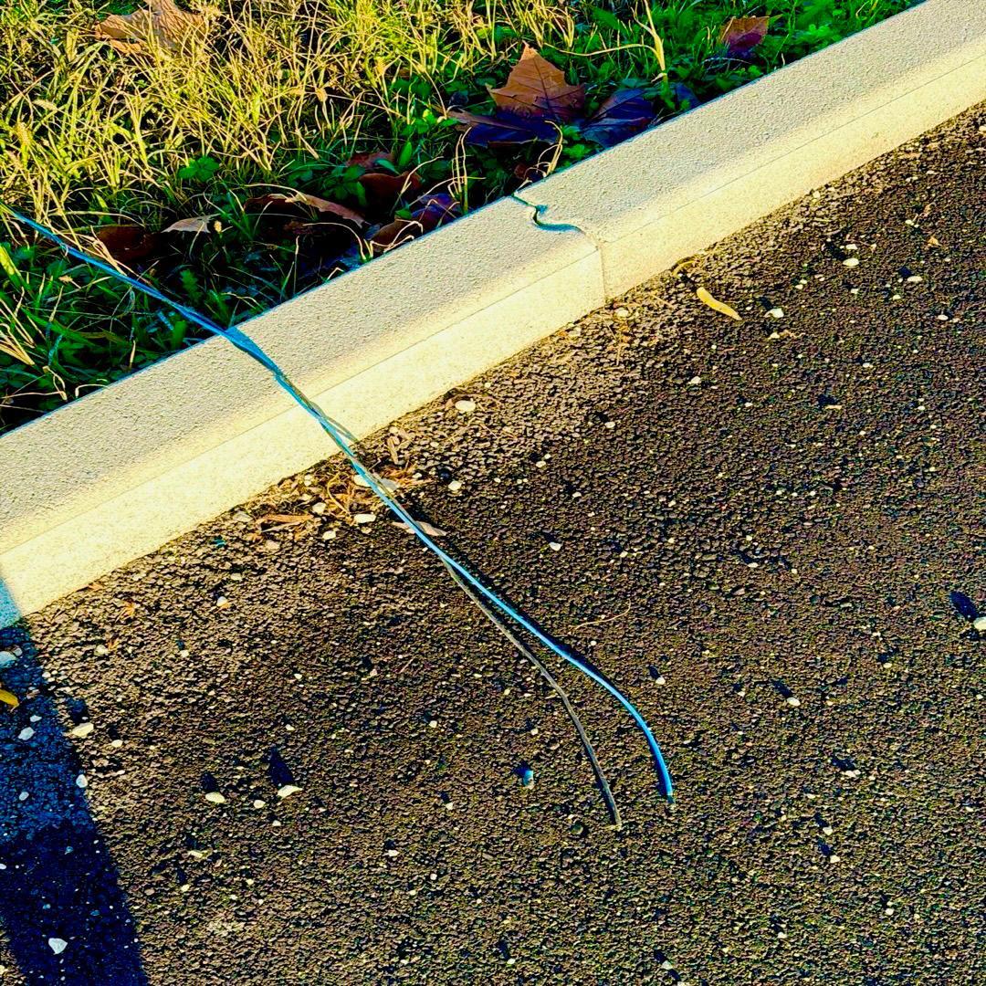 Cavi dell’illuminazione tagliati a Massa Fiscaglia: Santuario della Corba al buio