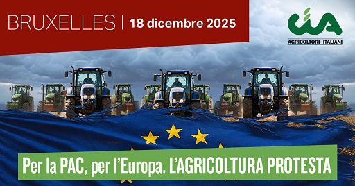 Una delegazione della Confederazione Agricoltori Nord Sardegna alla marcia di Bruxelles