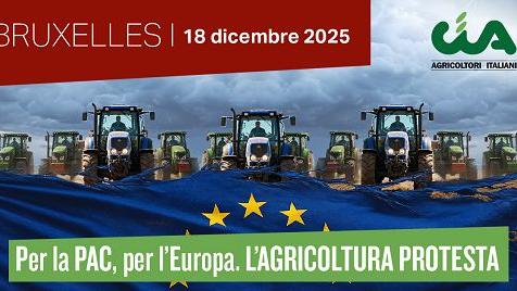 Una delegazione della Confederazione Agricoltori Nord Sardegna alla marcia di Bruxelles