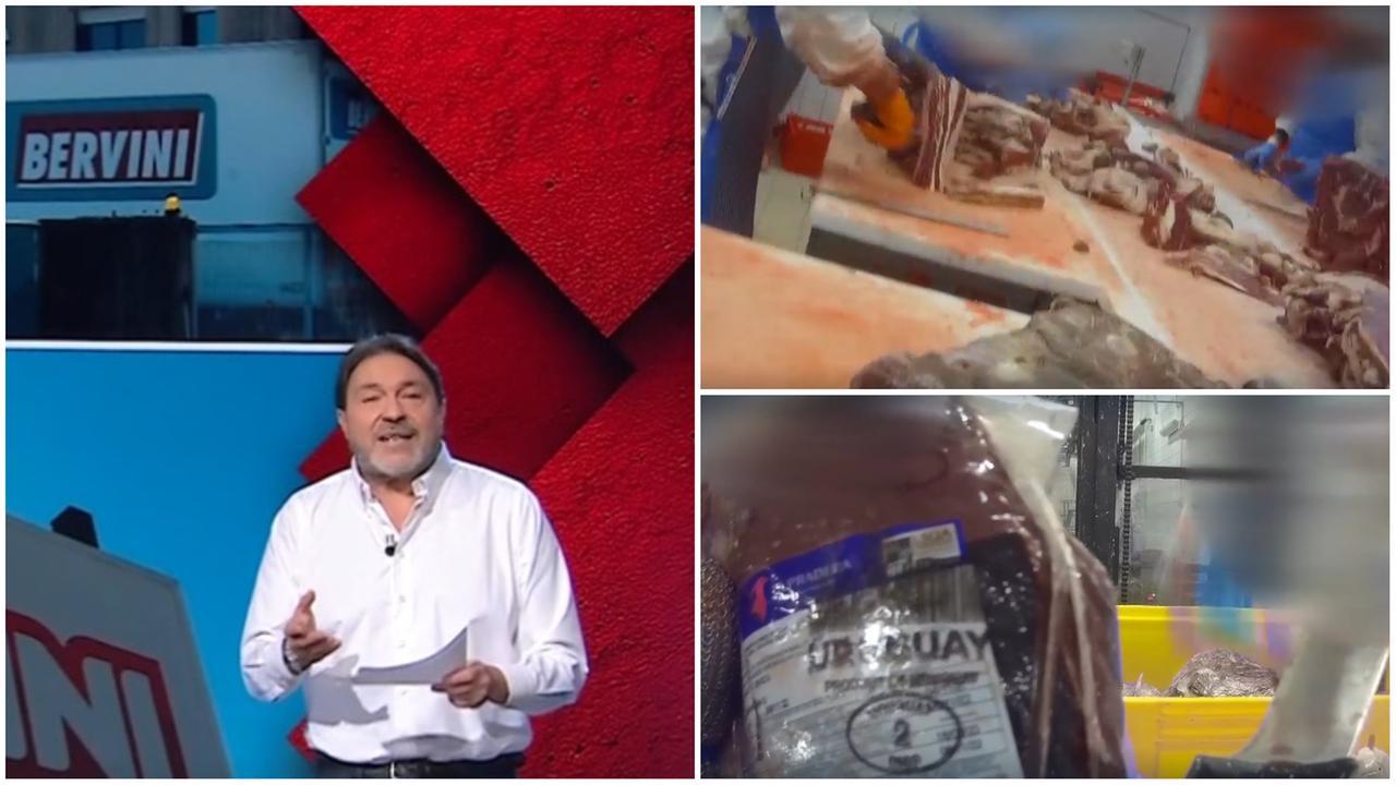 Il servizio di Report