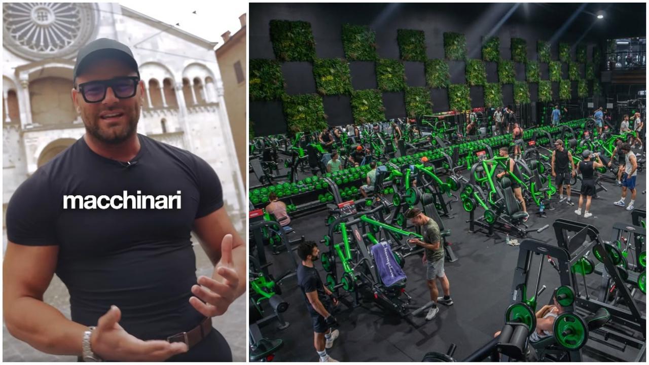 
	"Alex Theory" e una delle sue palestre

