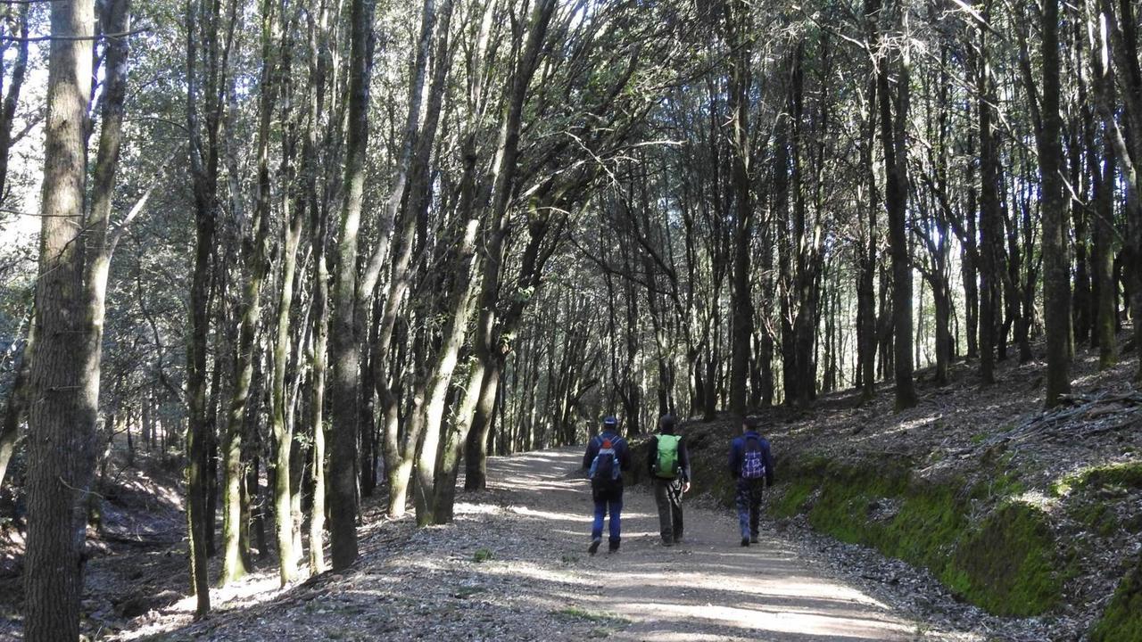 Gutturu Mannu apre le porte: un piano per collegare il parco ai territori e ai visitatori