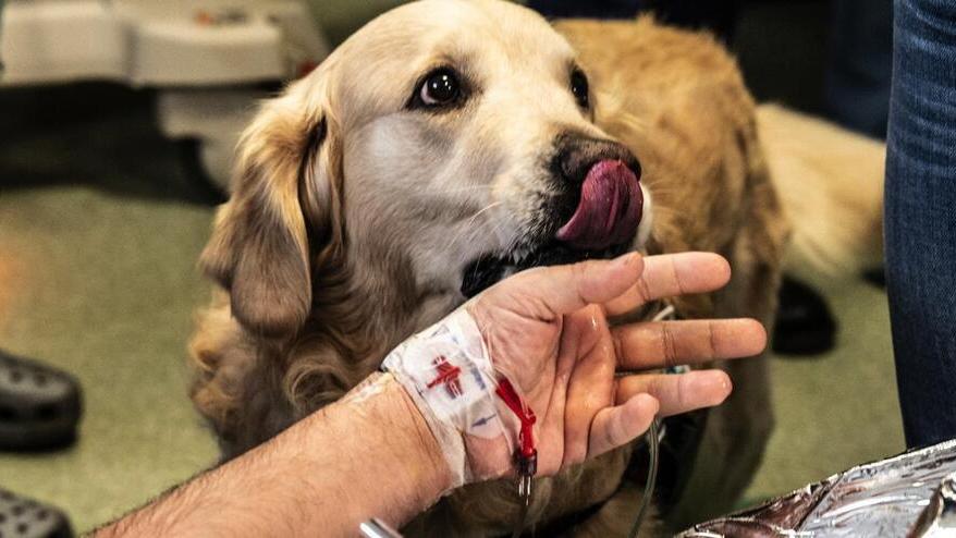 Recepite le linee guida regionali