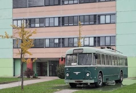 Amo, saluto romano e dito medio sui Social. Rabbia dell’azienda contro l’ex dipendente