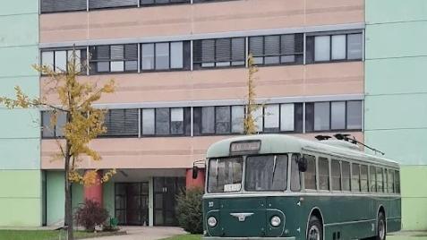 Amo, saluto romano e dito medio sui Social. Rabbia dell’azienda contro l’ex dipendente