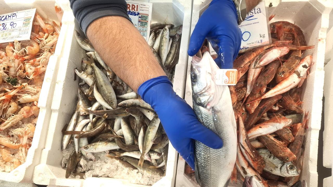 Dalla A di astice alla Z di zerro: quanto si spende per il pranzo di Natale – tutti i prezzi al mercato di Sassari