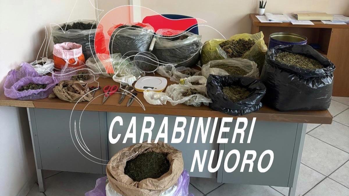 In casa la centrale dello spaccio: sequestrati quattro chili di droga, un arresto