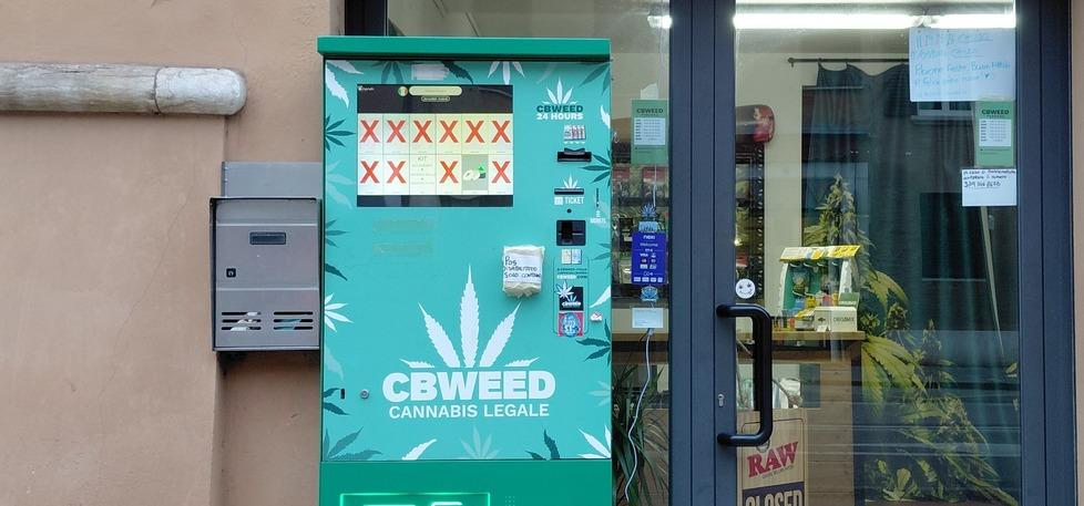 Cannabis light tra regole e divieti validi anche a Ferrara. «Il rischio sono gli additivi illegali»