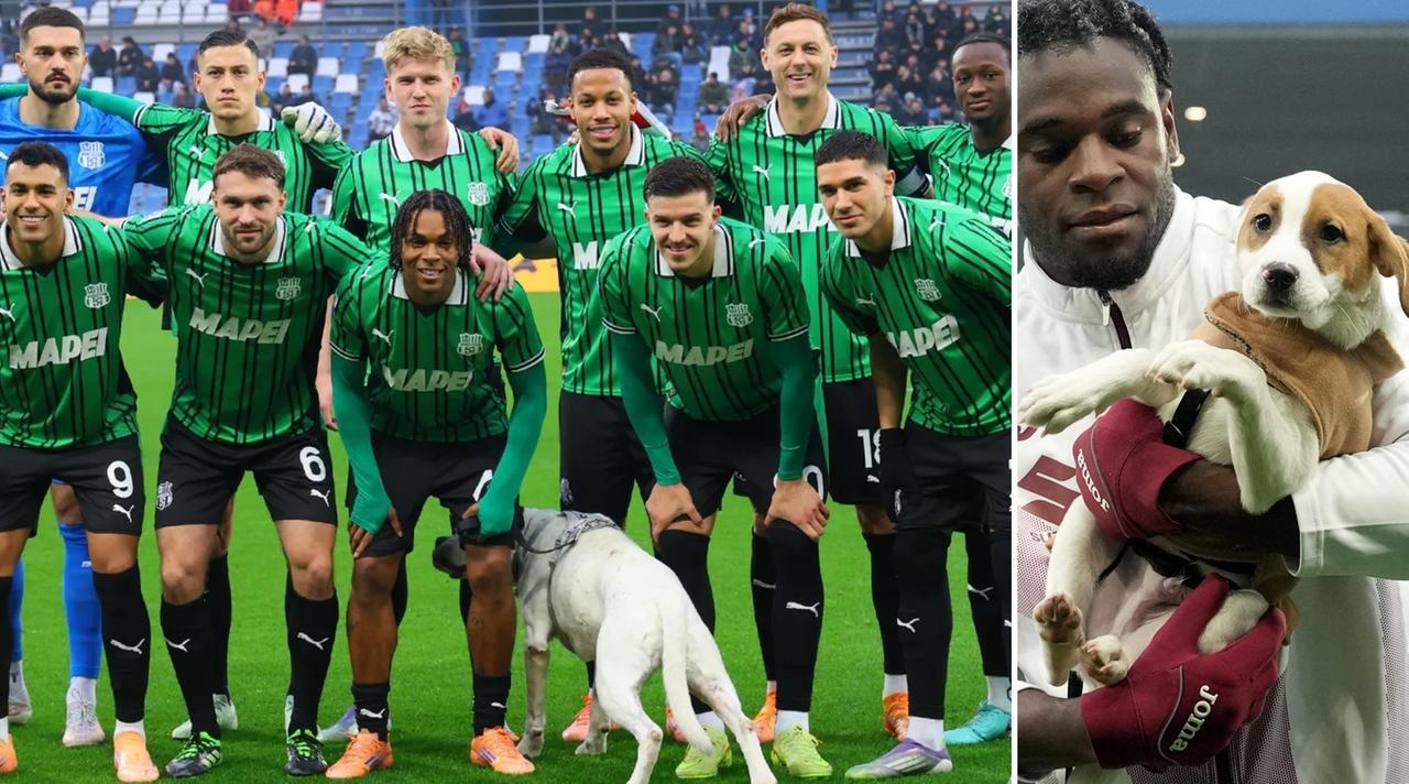 
	I cani Bonzo e Gino con i giocatori prima di Sassuolo-Torino


