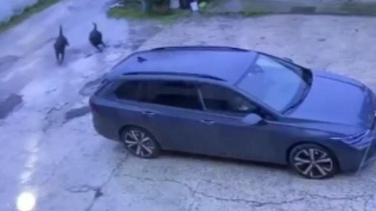 Un frame del video delle Fiamme gialle sull'episodio di Cascina