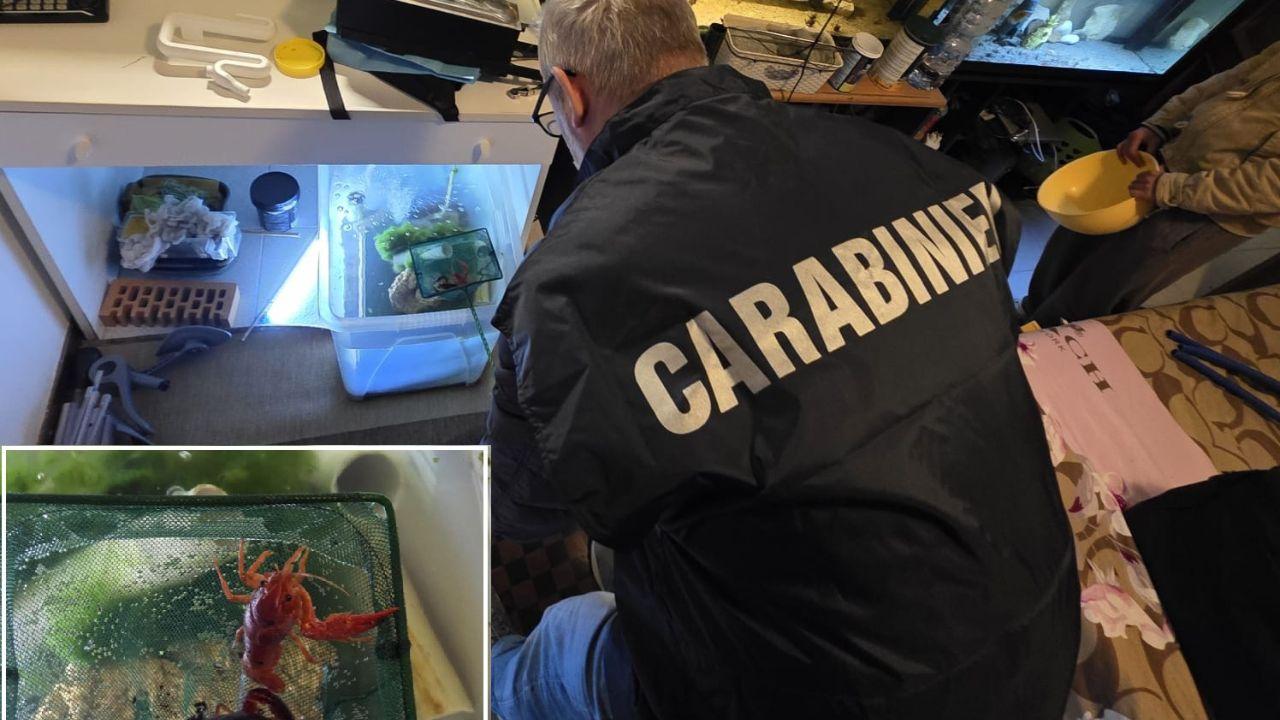 
	Il laboratorio scoperto in Toscana

