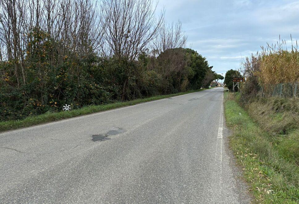 
	L&rsquo;Aurelia al Tripesce dove grosso modo &egrave; avvenuto l&rsquo;incidente (Foto Falorni/Stick)

