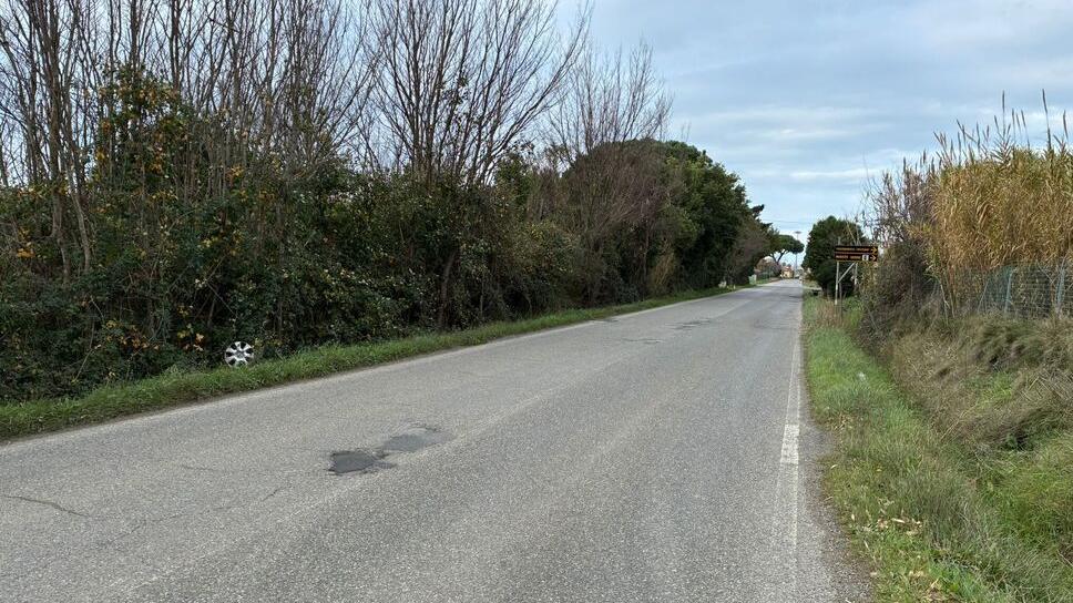 L’Aurelia al Tripesce dove grosso modo è avvenuto l’incidente (Foto Falorni/Stick)