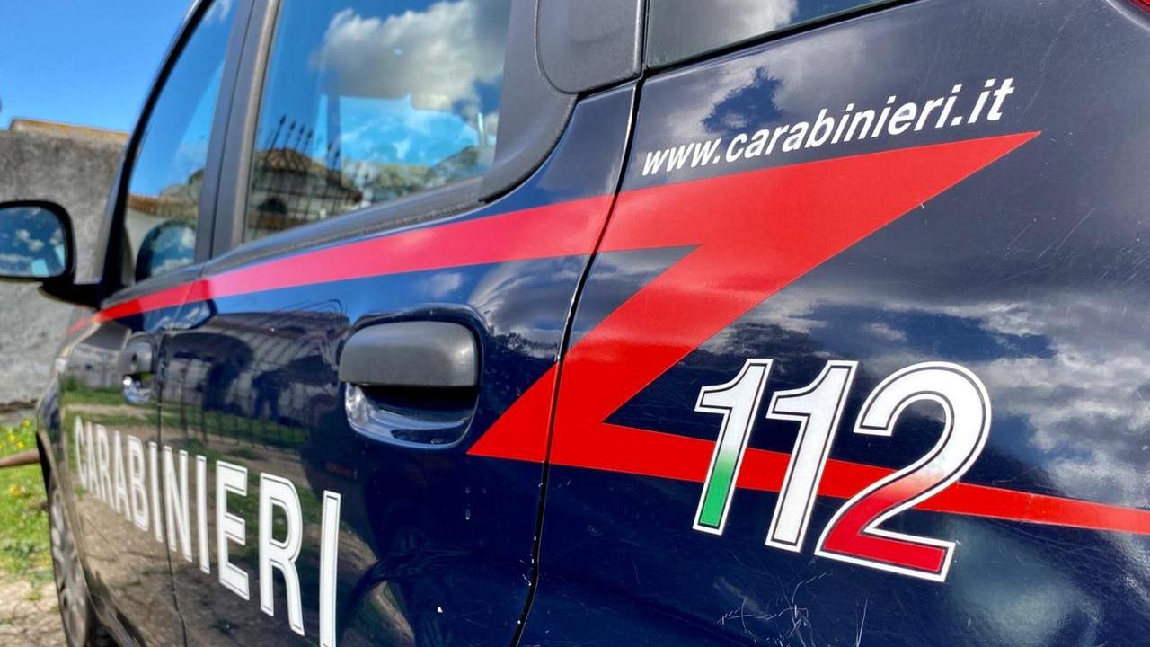 Orrore nel Nuorese, uccide a calci un cane in giardino: denunciato