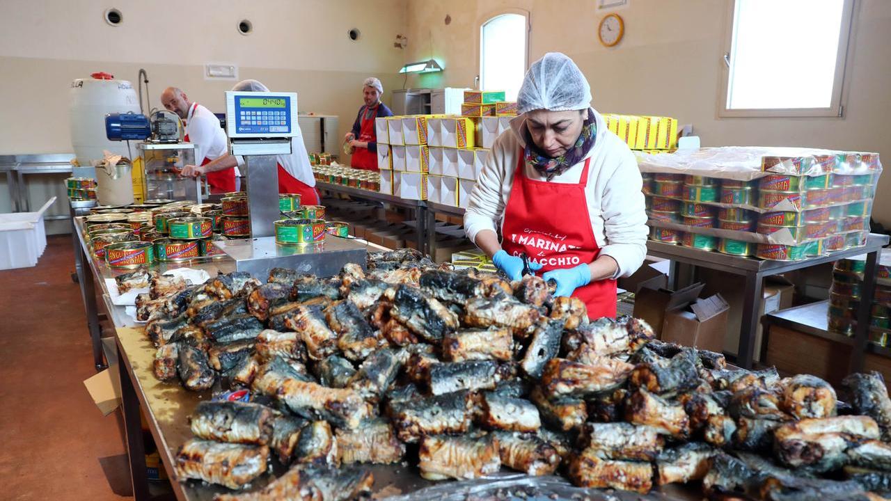 Anguilla regina indiscussa di Comacchio: venduti 12 quintali in poche ore