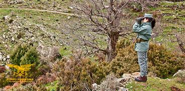 Disbosca per costruire una strada e distrugge una sorgente, lavori non autorizzati: imprenditore indagato