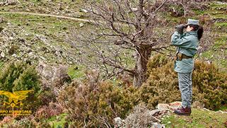 Disbosca per costruire una strada e distrugge una sorgente, lavori non autorizzati: imprenditore indagato