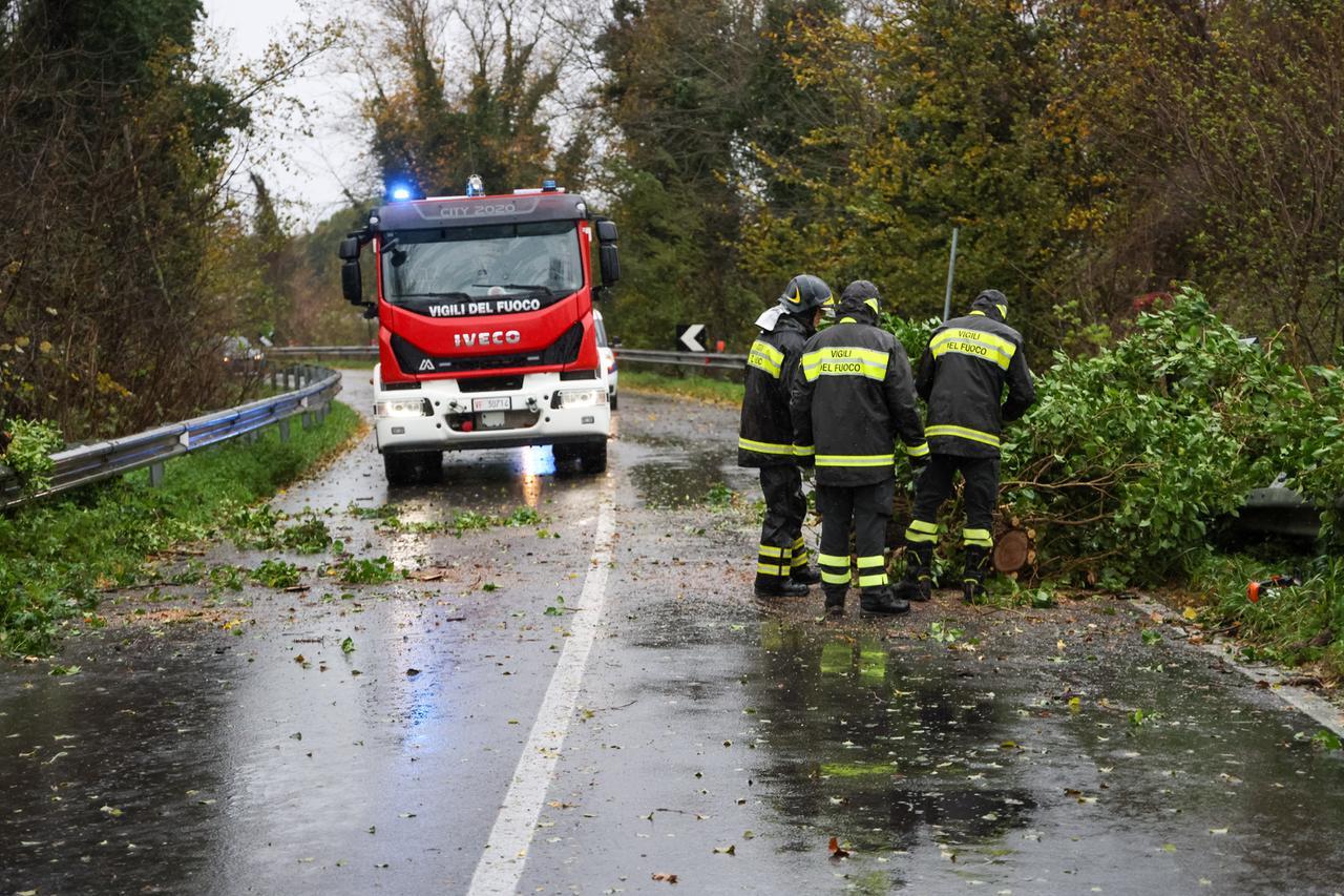 Maltempo a Ferrara, alberi e rami caduti: disagi sulla superstrada