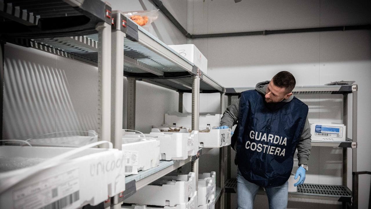 Altopascio, sequestrate 5 tonnellate di pesce