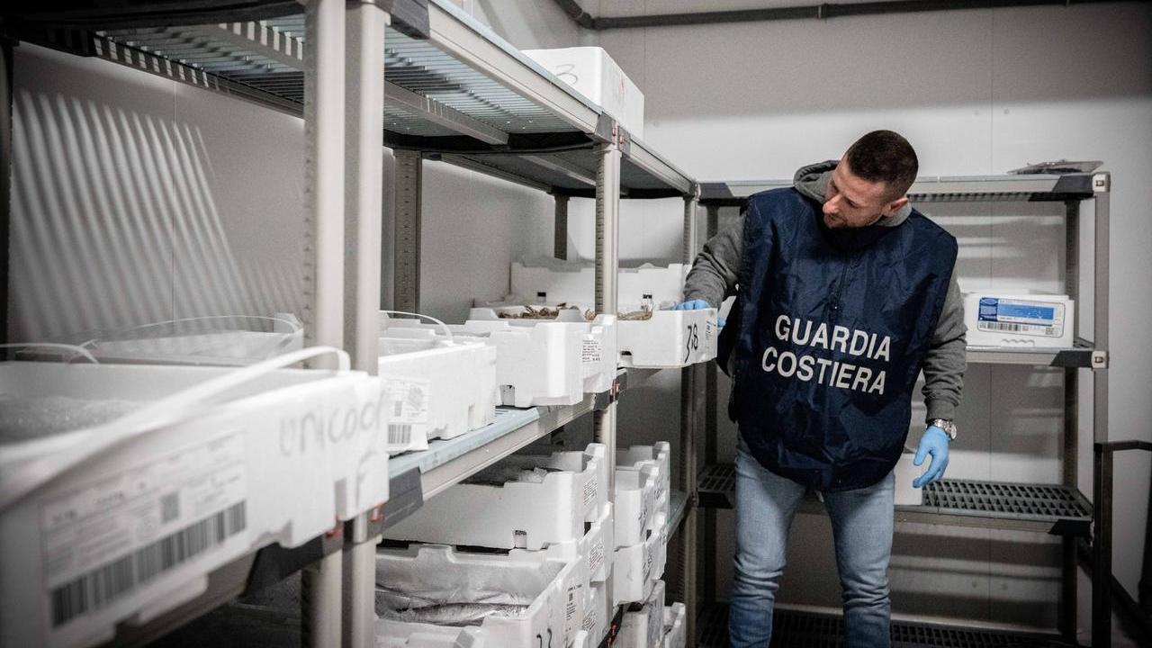 Guardia costiera in azione