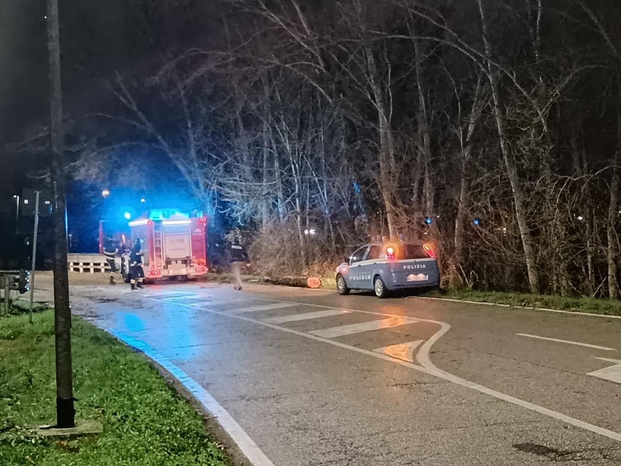 Auto colpita da un albero in via Caretti a Ferrara, salvo il conducente