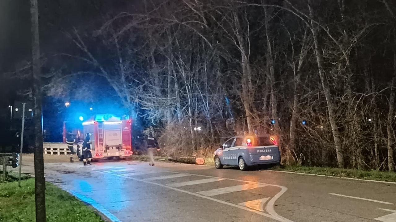 Auto colpita da un albero in via Caretti a Ferrara, salvo il conducente