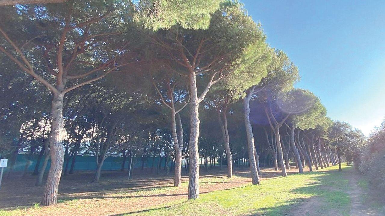 Indagato a 15 anni per violenza sessuale, ma la denuncia non c’è: cos’è successo a San Vincenzo? I dubbi e le testimonianze contrastanti