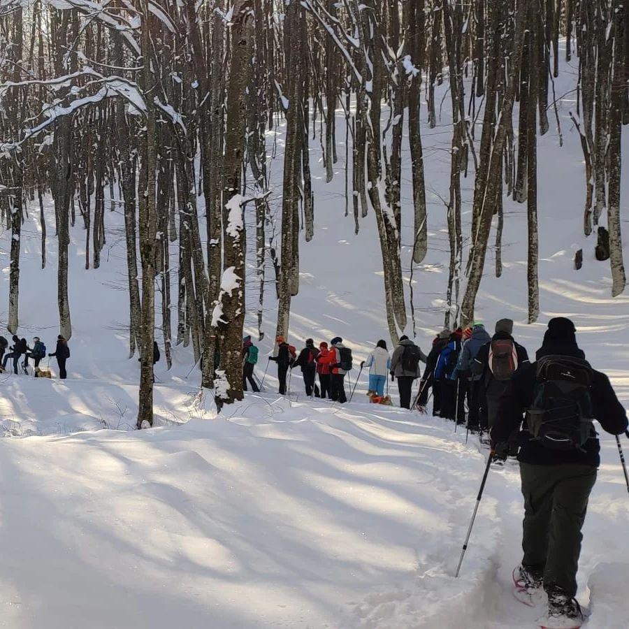 Ciaspolata di Capodanno al Monte Cusna: escursione notturna con cenone a Febbio