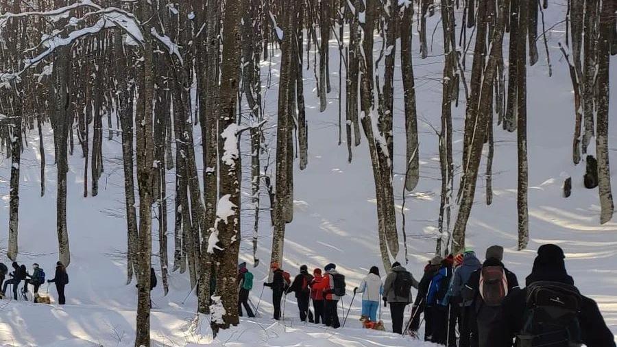Ciaspolata di Capodanno al Monte Cusna: escursione notturna con cenone a Febbio