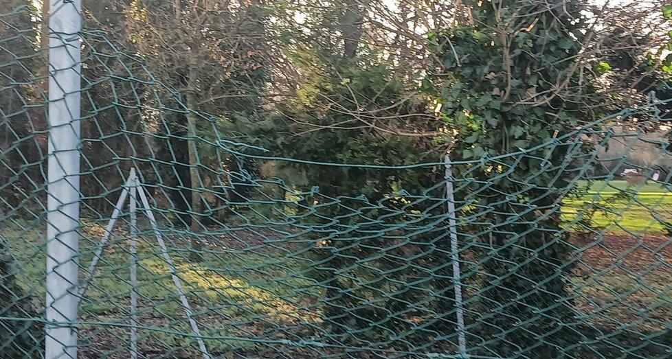 Voghenza, reti tagliate per giocare a calcio: «Il campo non è di tutti»