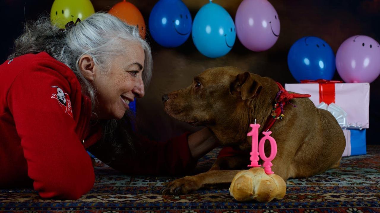 La veterinaria Monica Pais: «Palla mi ha cambiato la vita, ora curo gli animali del mondo»