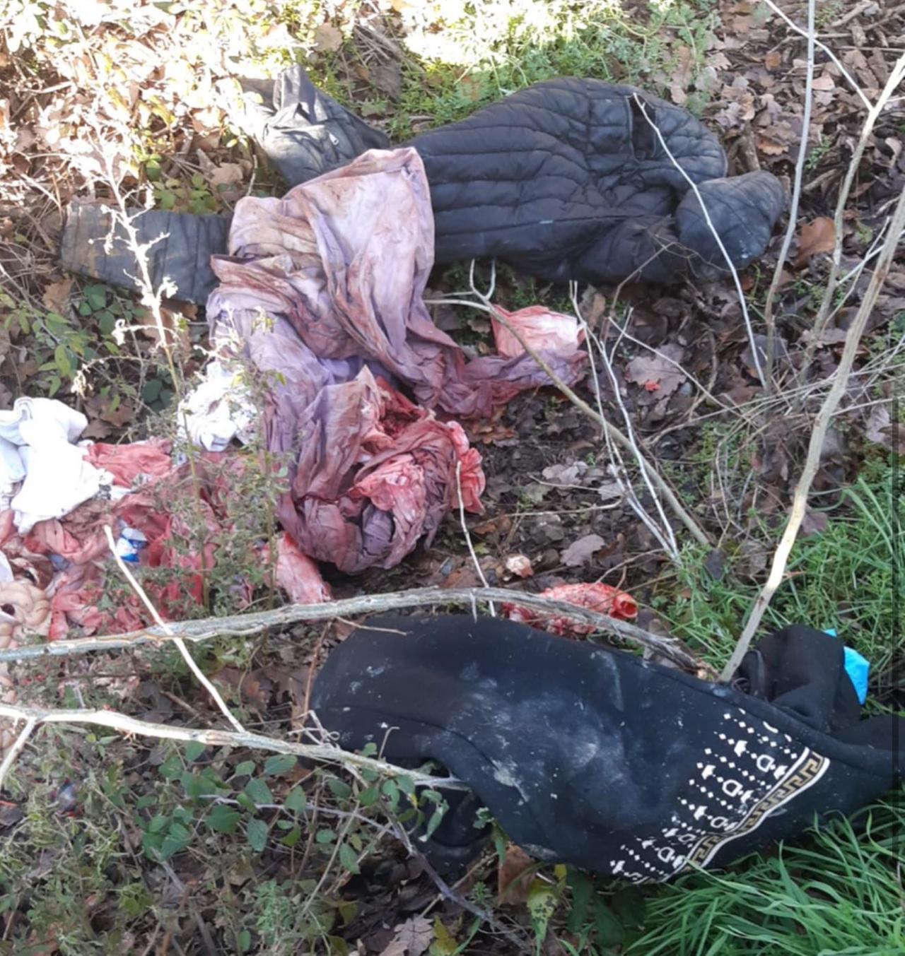 Mistero a Montecchio: vestiti insanguinati e resti di animali in strada Maglio