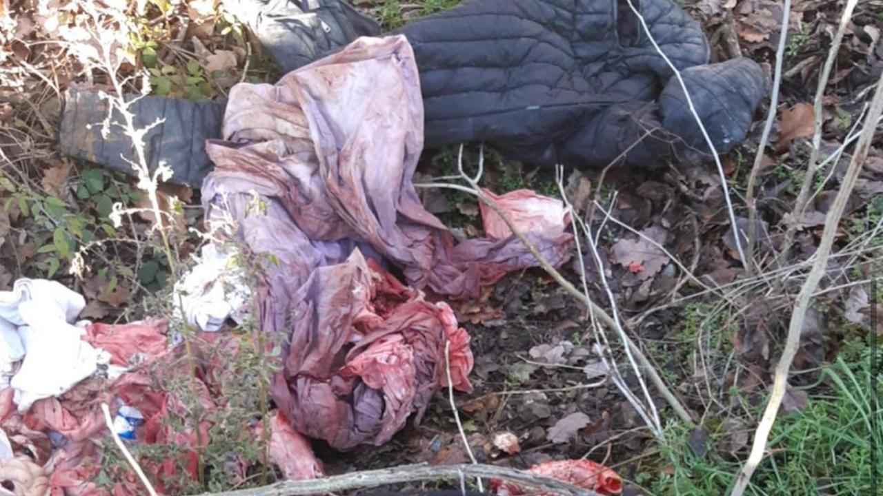 Mistero a Montecchio: vestiti insanguinati e resti di animali in strada Maglio