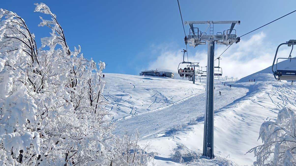 Capodanno da tutto esaurito in Emilia-Romagna: cosa dicono i numeri
