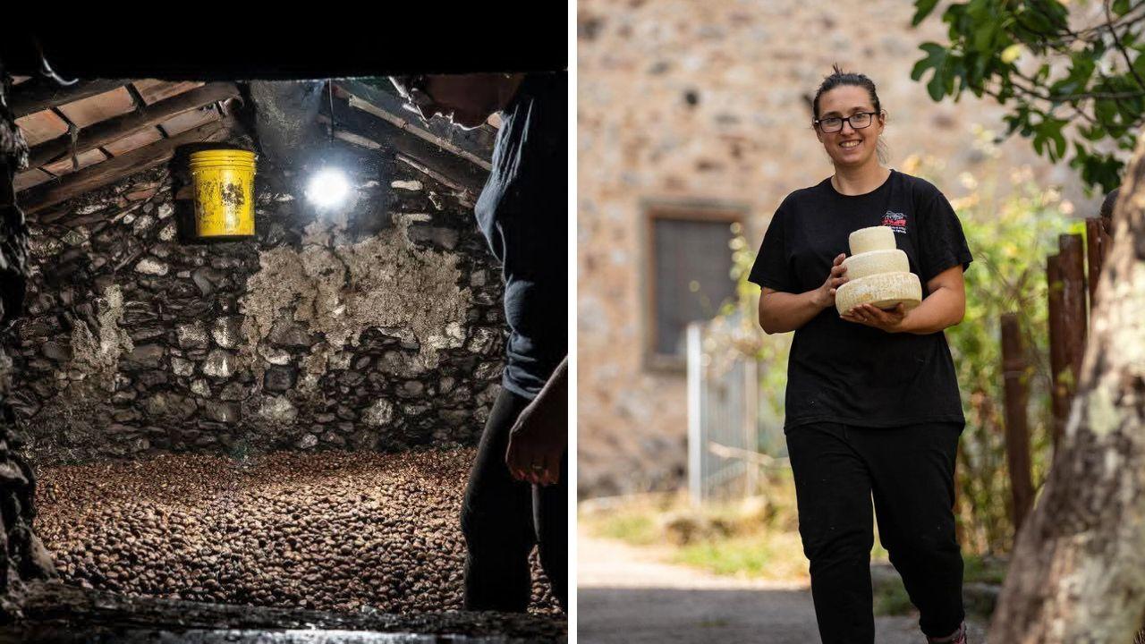 
	Il metato con migliaia di castagne e&nbsp;Pamela Pacini

