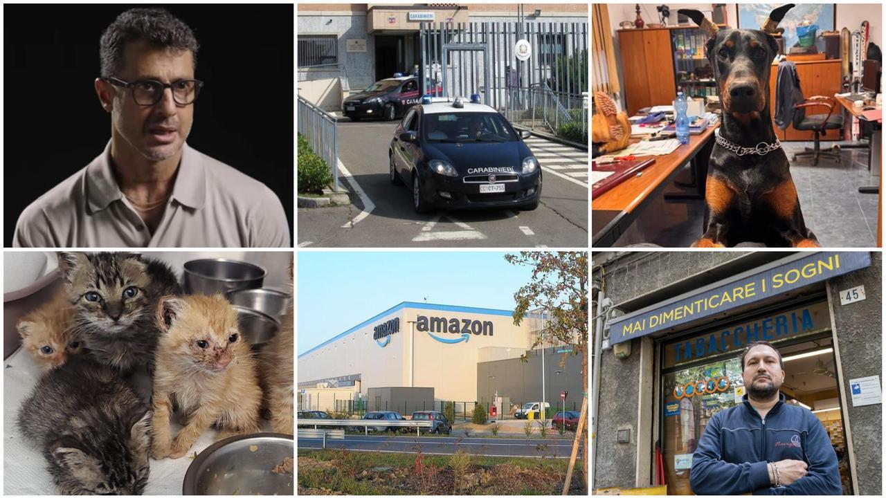 Le notizie più lette del 2025 a Modena: alcuni protagonisti