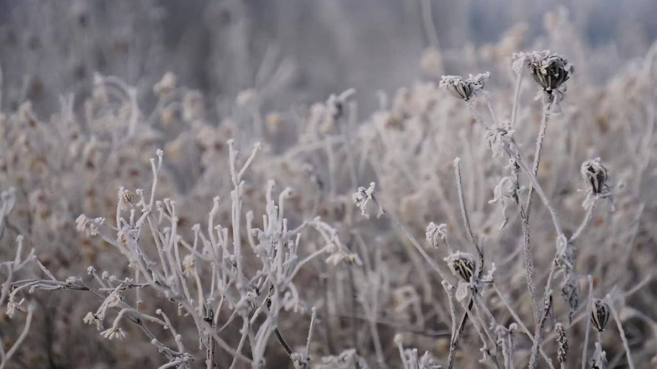 Gelo all'alba in molto zone della Toscana