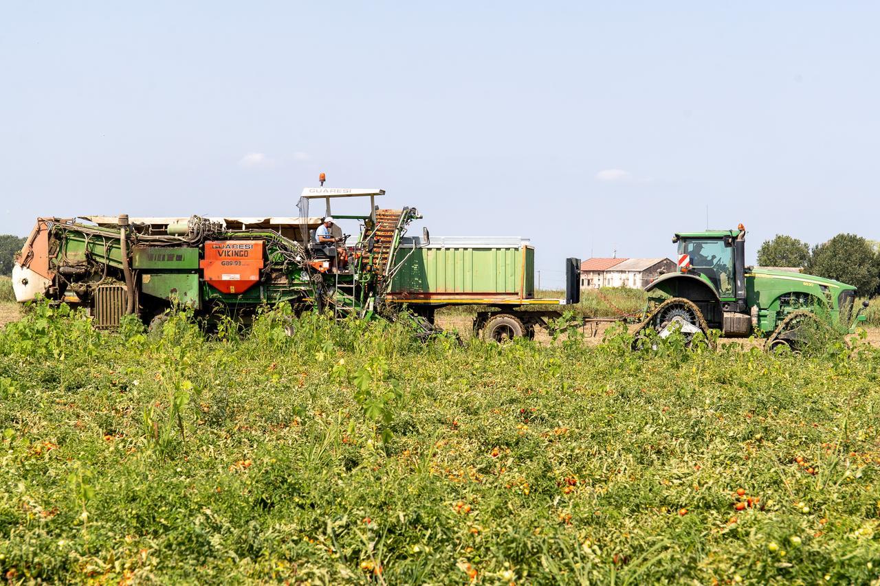 Agricoltura, cosa cambia con la Legge di Bilancio 2026