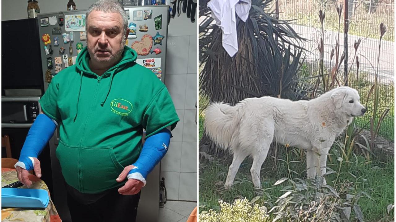 Egidio Capponi con le braccia fasciate e il suo cane
