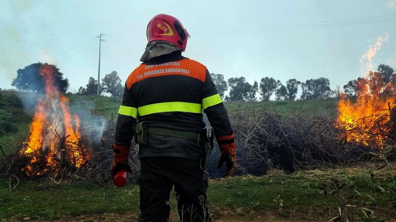 Corpo forestale, c’è il concorso – ecco il bando e il numero di assunzioni