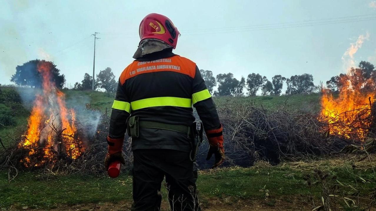 Corpo forestale, c’è il concorso – ecco il bando e il numero di assunzioni