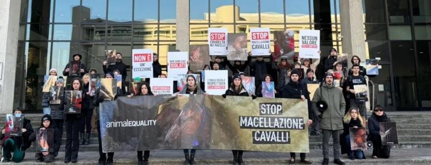 Correggio, oggi il presidio davanti al macello equino: mobilitazione dopo l’inchiesta di Animal Equality